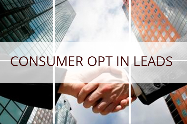 consumer opt in leads